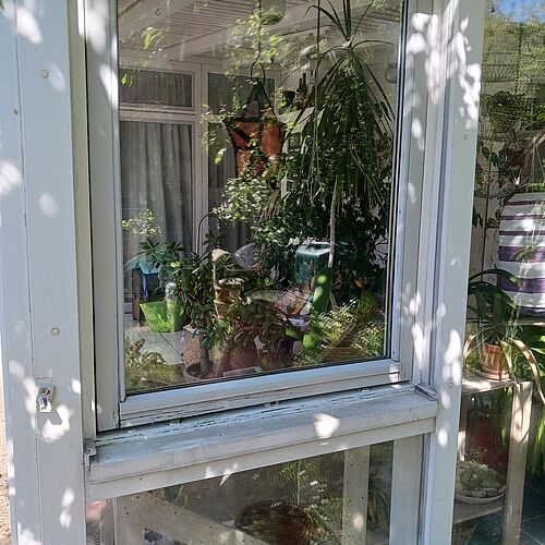 Nicht immer muss gleich alles direkt ersetzt werden. 👍
Bei diesem Projekt standen Holzflickarbeiten an einem Fenster...