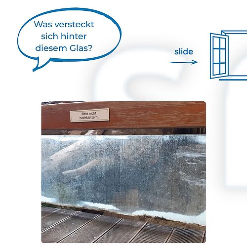 Auf den ersten Blick wirkt es wie ein ganz normales Fenster 👀Bis man erkennt, wer dahintersteht 🦛
Für den Zoo braucht...